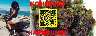 прущая мука Ачхой-Мартан