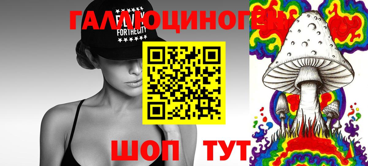 Псилоцибиновые грибы прущие грибы Заводоуковск